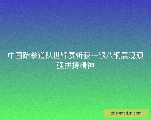 中国跆拳道队世锦赛斩获一银八铜展现顽强拼搏精神 中国跆拳道队世锦赛斩获一银八铜展现顽强拼搏精神