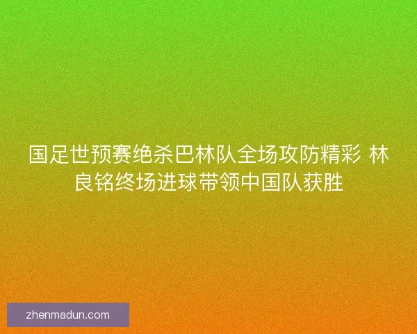 国足世预赛绝杀巴林队全场攻防精彩 林良铭终场进球带领中国队获胜