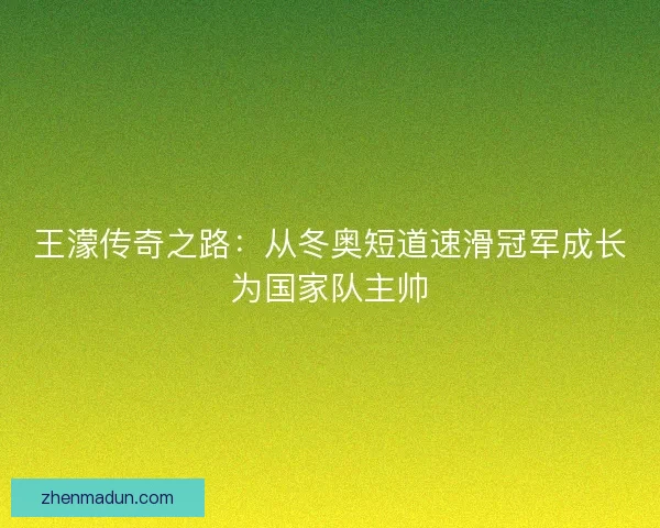 王濛传奇之路：从冬奥短道速滑冠军成长为国家队主帅